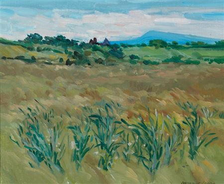 GRASSY LANDSCAPE