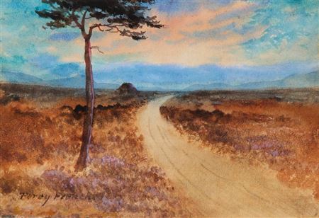 TREE IN A BOG SCENE