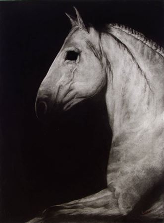 HORSE HEAD, 2005 by Paddy Lennon - Auction record, sale price, and art valuation. Compare with similar artists and explore comparable artworks.