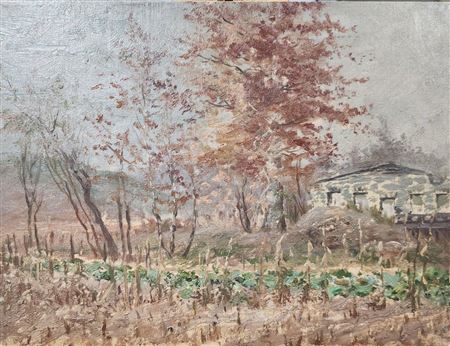 Rural Autumn Shelter