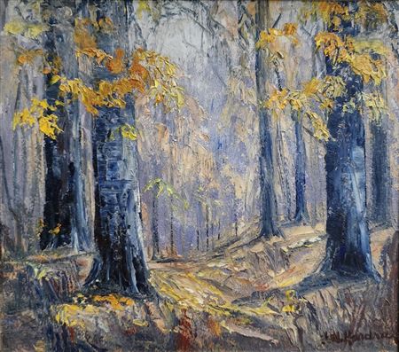 Autumn Interior Woods