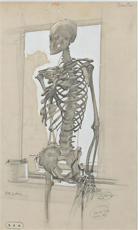 Study of a skeleton by Robert Sargent Austin - Auction record, sale price, and art valuation. Compare with similar artists and explore comparable artworks.