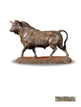SPANISH BULL