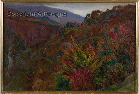 Autunno in Carnia