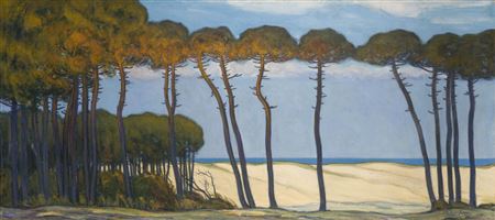 The Dunes of Hossegor through the Pines