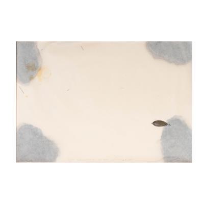 Paper Between a Leaf and Water Stain
