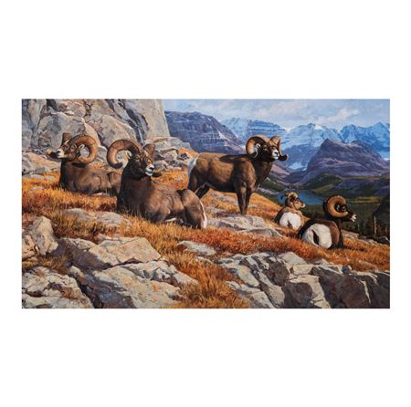 Rams.