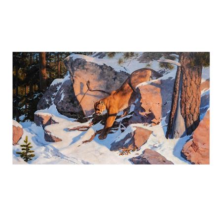 Mountain Lion