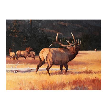 Elk and Horses
