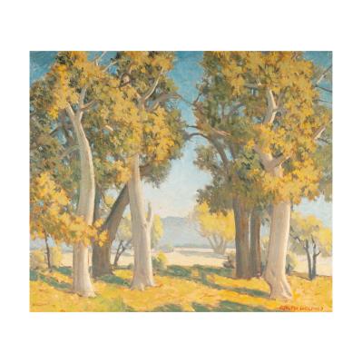 Trees, Santa Barbara