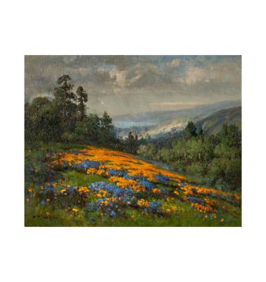Poppies and Lupine with San Francisco Bay Beyond