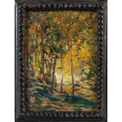 Forest by Domingo Motta - Auction record, sale price, and art valuation. Compare with similar artists and explore comparable artworks.