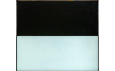 Horizon 2011