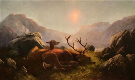 Stag and doe before sunset