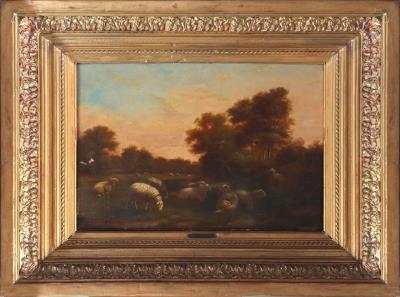 Sheep in a meadow