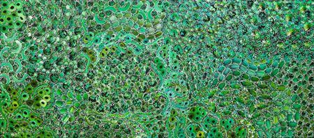 Sample artwork by Rachael Nanbula (Born c. 1970), known for aboriginal painting - View similar artists and auction records