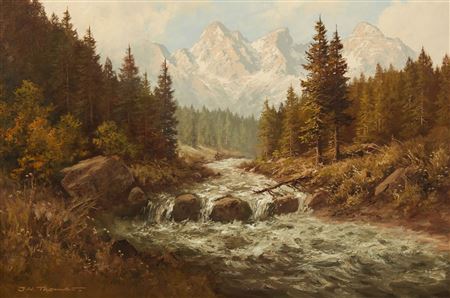 View of a mountain stream