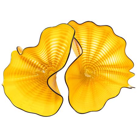 "Radiant Persian Pair"
