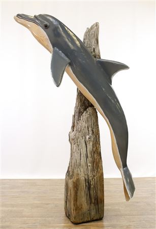 Dolphin