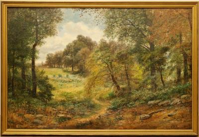 Forest landscape with a rocky path leading into a sunlit clearing