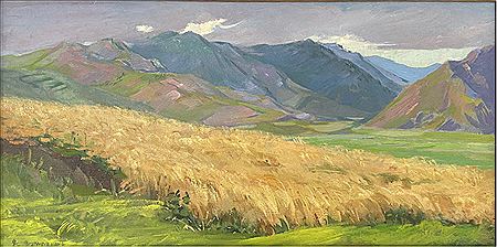 Fields of Aparan