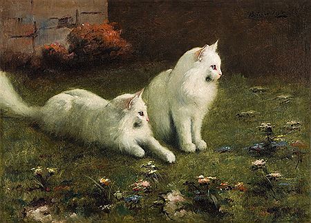 Two Cats
