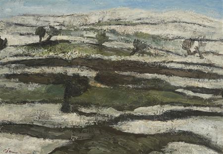 Oaks in the Rocky Area III