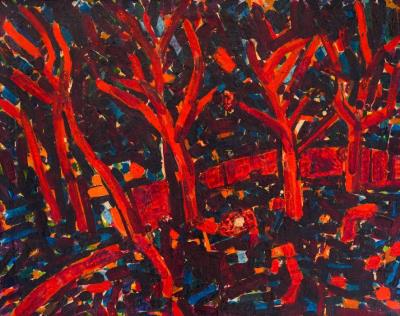 Forest Landscape