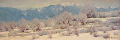 Frost
