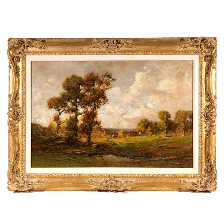 Forest Landscape