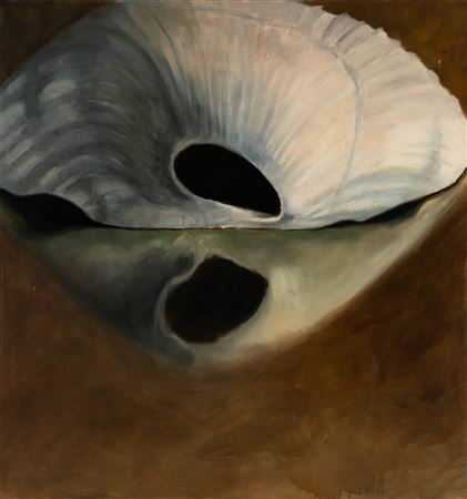 Large Shell