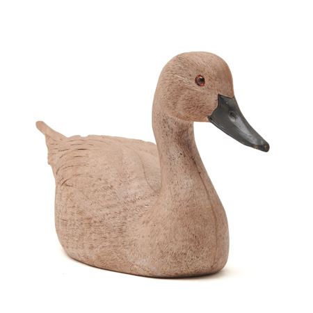 Duck Decoy