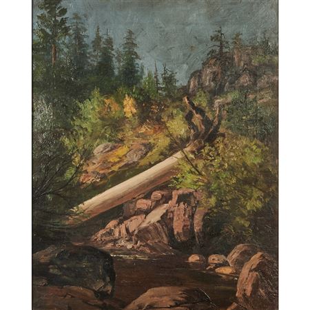 Forest Landscape