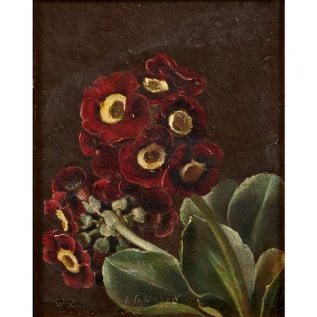 Still Life (Gerbera Daisy)