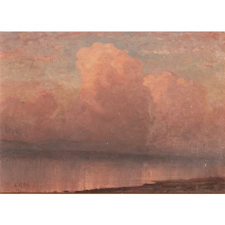 Oceanside Landscape