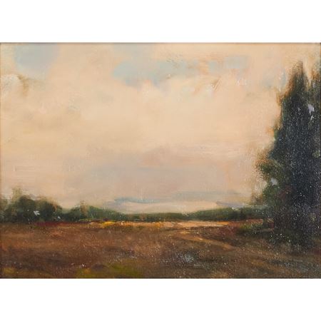 "Open Sky"