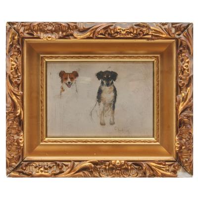 Study of Dogs