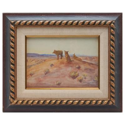 Coyotes in Desert