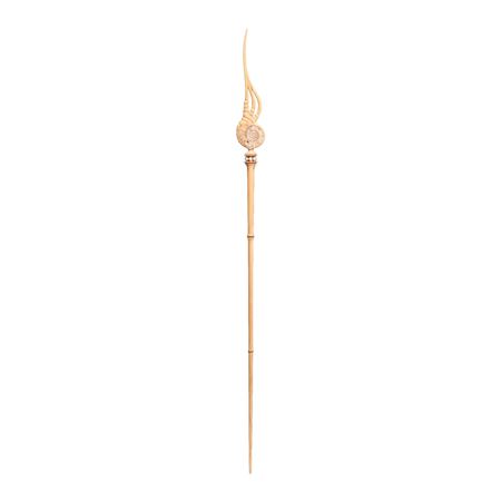 Mounted Wand with Nautilus