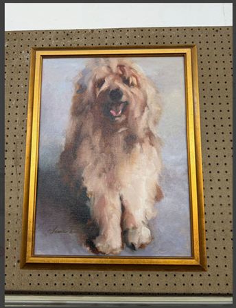 Dog