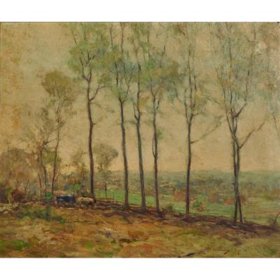 The Valley Meadow