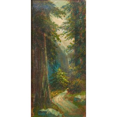 Redwoods