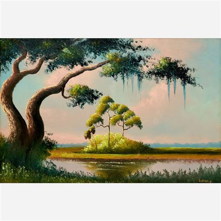 Trees in the Everglades