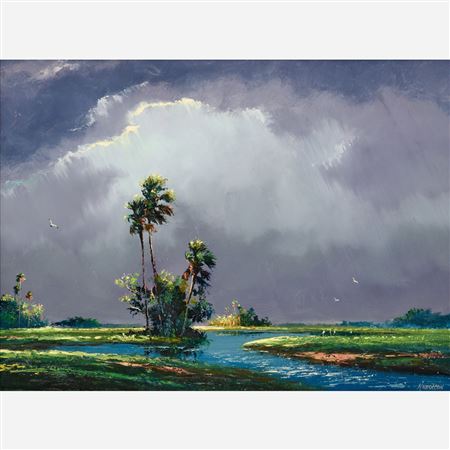 Storm Clouds over the Everglades