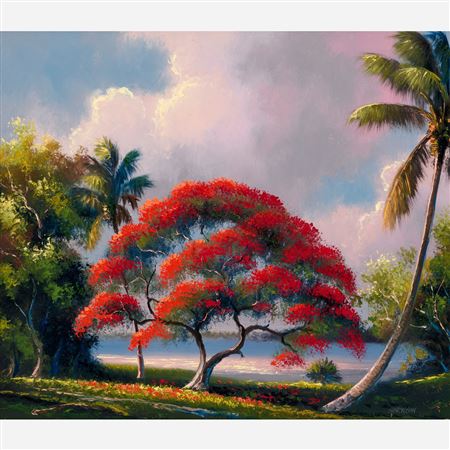 Royal Poinciana