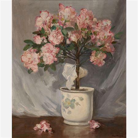 Azalea