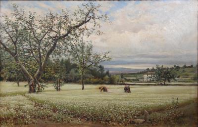 Landscape