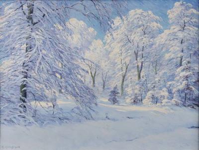 Snowy winter forest