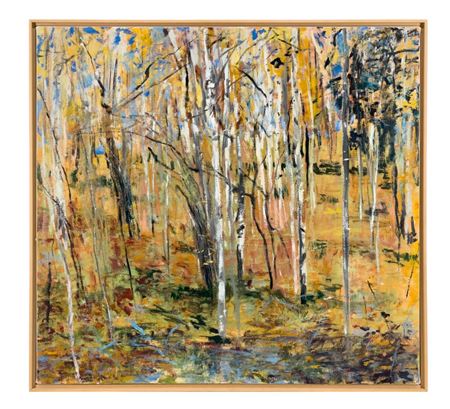 "ASPEN MOUNTAIN"