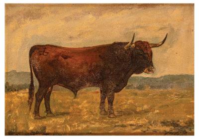 Bull